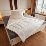 Premium-Bettwaren für Hotels & Apartments - pflegeleichte & weiche Decken & Kissen