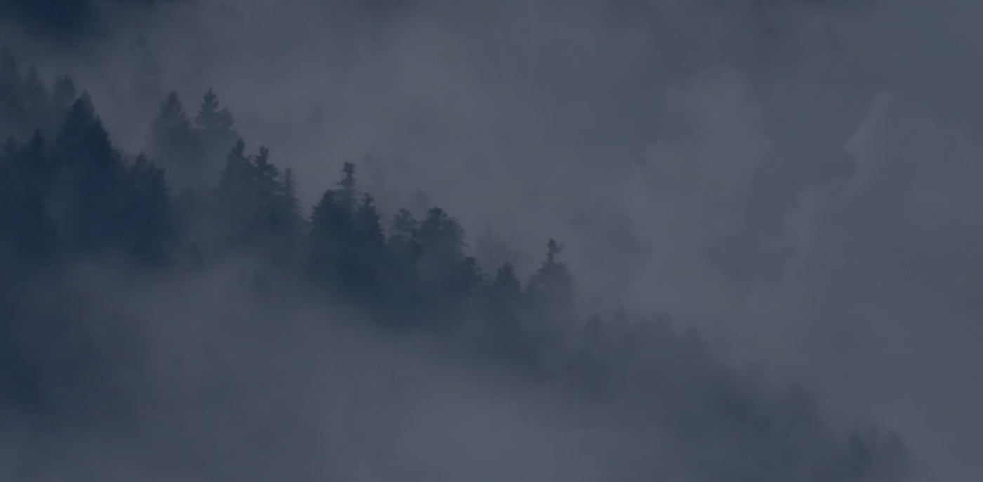 A world of textures, calm and quiet luxury.